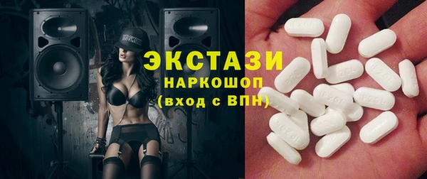 ECSTASY Бородино