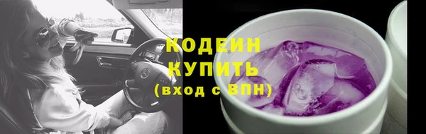 дурь Покачи