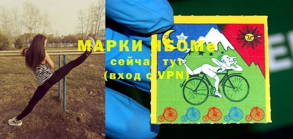 стафф Жердевка