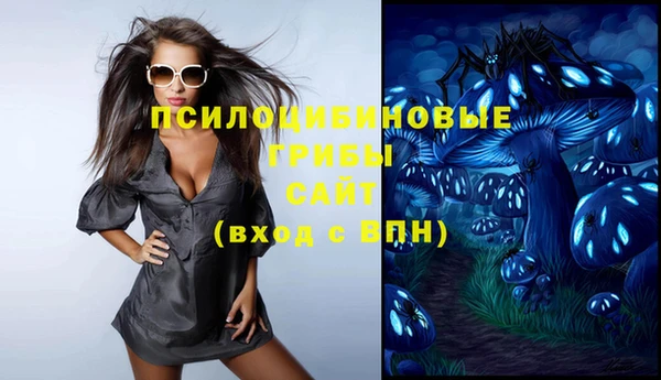 гидра Покровск