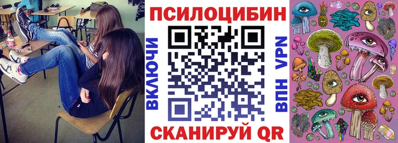 Псилоцибиновые грибы Cubensis  Ряжск 
